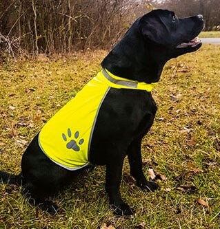 Embroidered High Viz Dog Safety Jacket: Personalized Reflective Vest